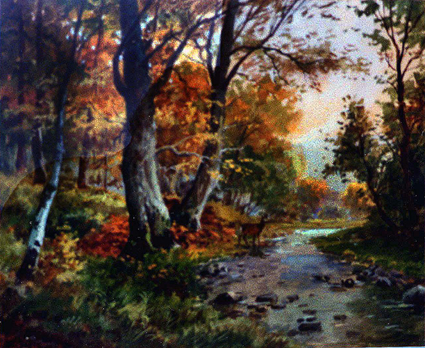 Herbstwald, Reh am Bach