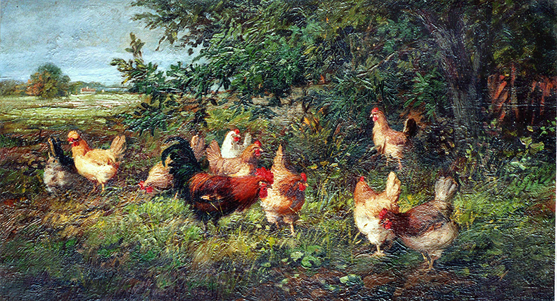 Hühnerhof – Hühner unter einer Baumgruppe