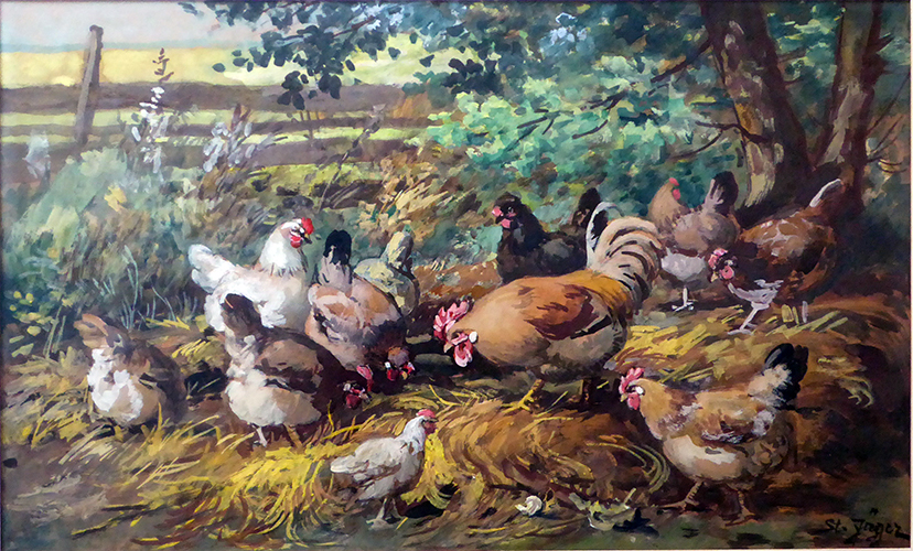 Hühnerhof – Hühner auf dem Misthaufen / Zaun