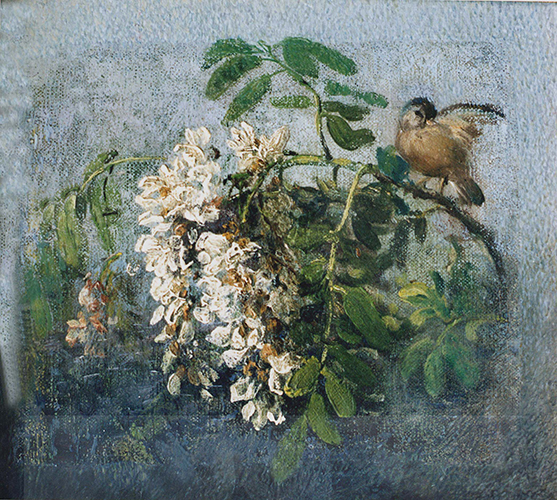 Akazienblüte und Vogel