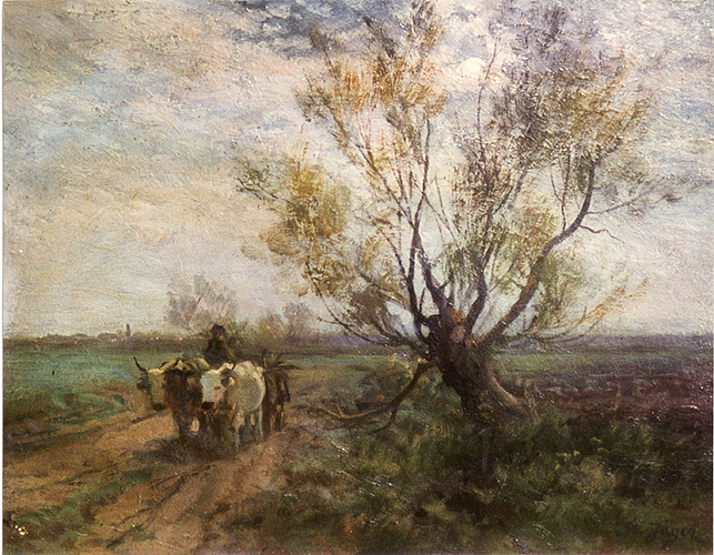 Ochsenkarren, rumänischer Bauer