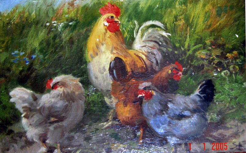 Hühnerhof – Hahn und drei Hühner im Grünen