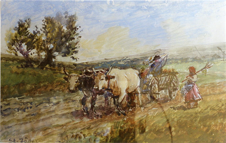 Rumänischer Bauer mit Ochsenkarren im Hügelland