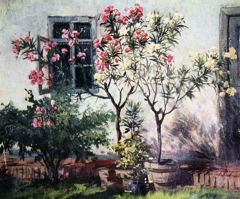 Hofpartie mit Oleander im Pflanzkübel