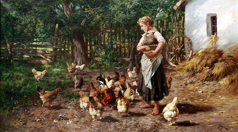 Mädchen füttert die Hühner