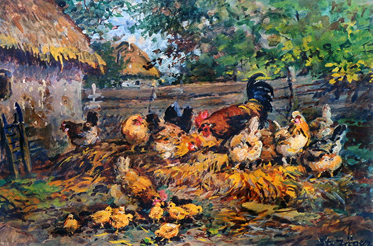 Hühnerhof – Hühner auf dem Misthaufen