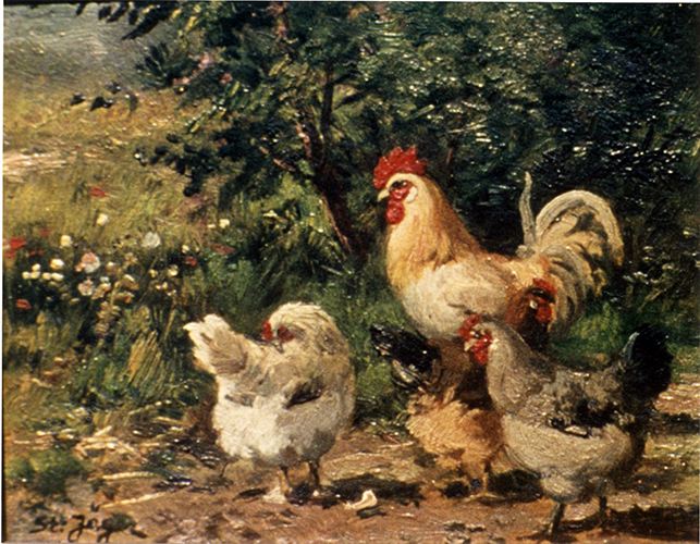 Hühnerhof – Hühner vor einem Strauch