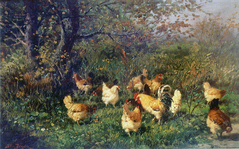 Hühnerhof – Hühner unter einer Baumgruppe