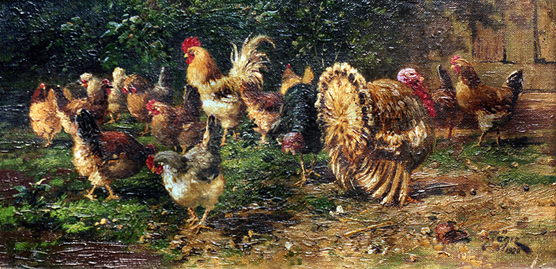 Hühnerhof – Hühner unterm Strauch, aufgeplusterte Pute