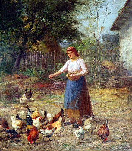 Frau füttert Hühner