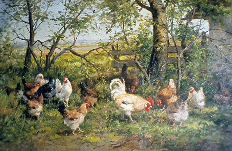 Hühnerhof – Baumgruppe