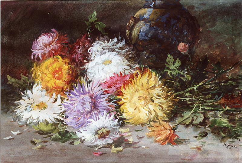 Chrysanthemen  auf dem Tisch