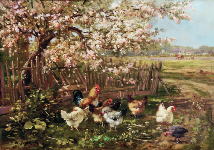 Hühnerhof – Hühner unter einem blühenden Baum