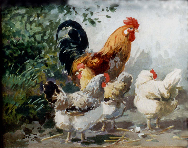 Hühnerhof – Hahn und drei Hühner