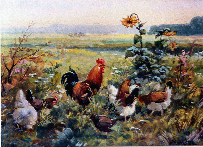 Hühnerhof – Hühner auf dem Feld, Sonnenblume