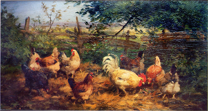 Hühnerhof – Hühner auf dem Misthaufen