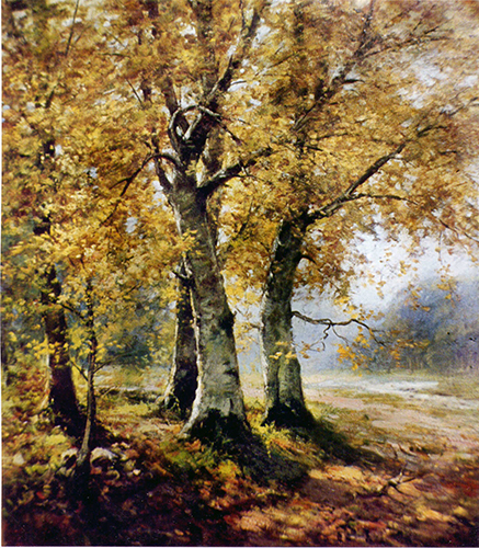 Birken mit Herbstlaub