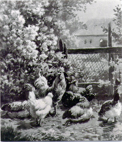 Hühnerhof – Hühner unterm Fliederstrauch / Zaun