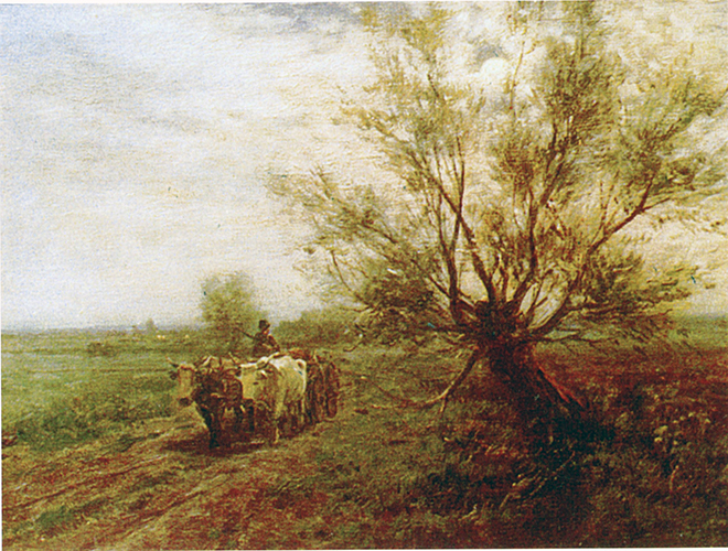 Ochsenkarren, rumänischer Bauer
