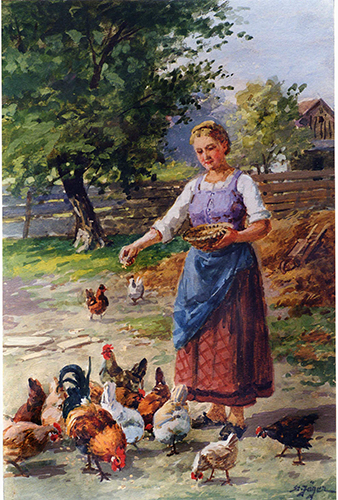 Mädchen füttert Hühner