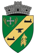 Wappen Dudestii Noi.png
